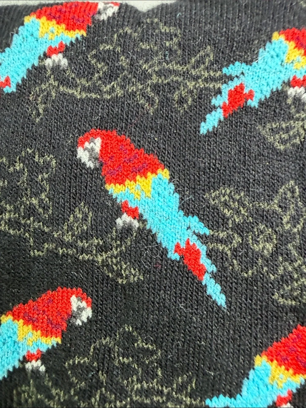 NWT Scarlet Macaw Parrot Women’s 9-11 Crew Socks Bird Lover Psittacine Boho